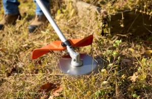 Tools For Every Garden Task